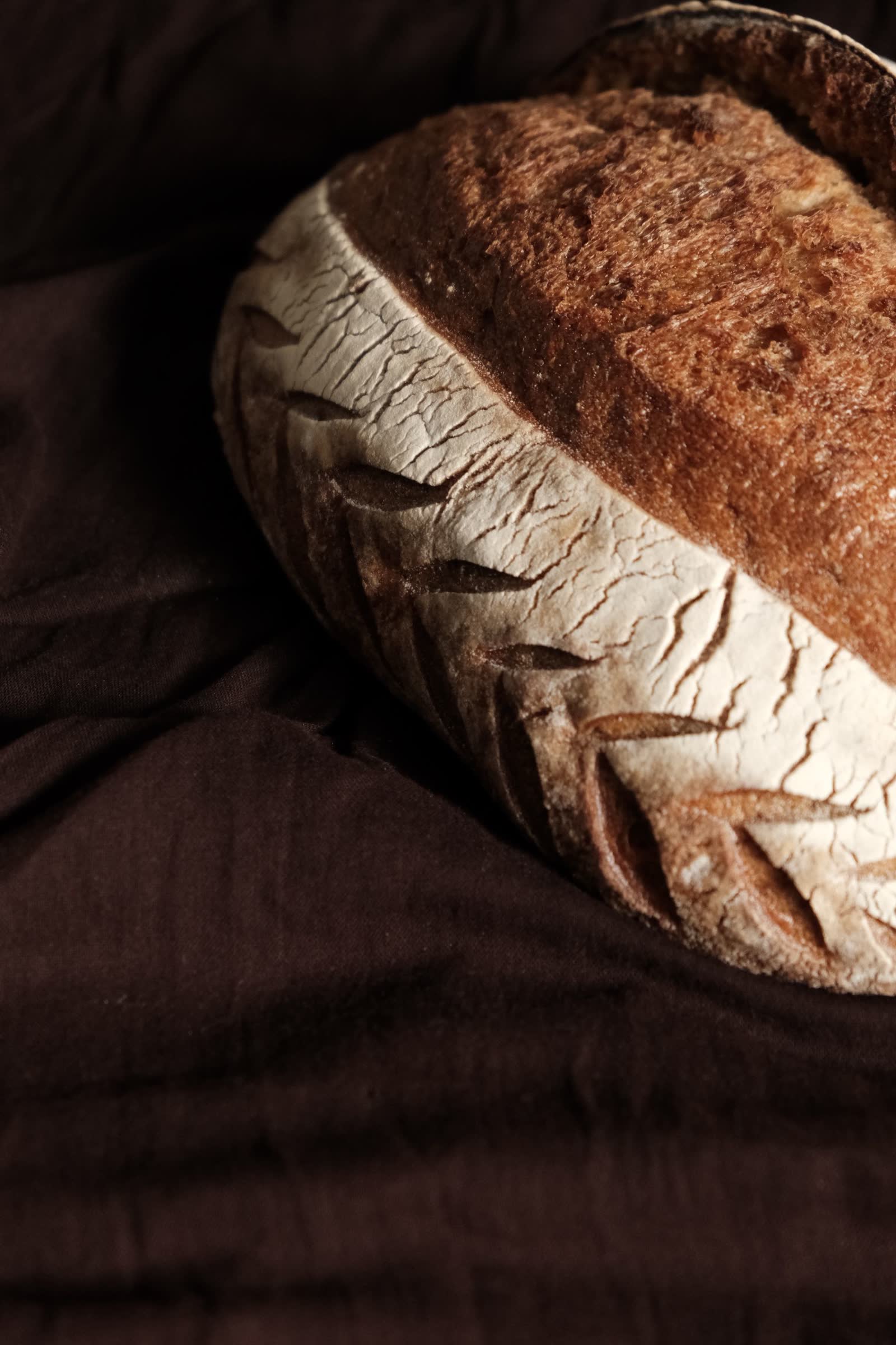 La Tourte des Cordeliers, scarifiée d'un épi de blé, sur lin brun