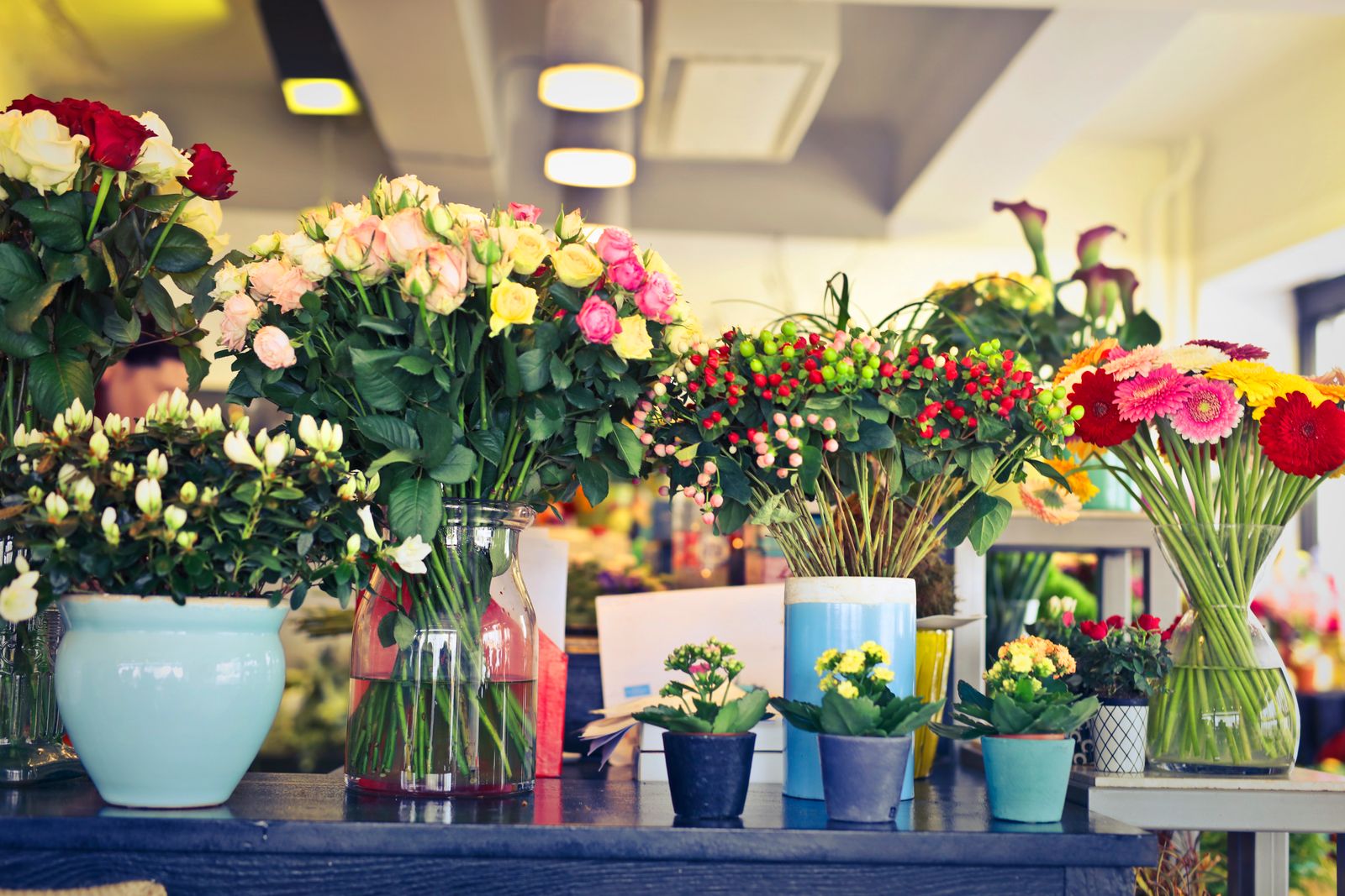 Les bouquets et plantes en pots de la boutique de la fleuriste