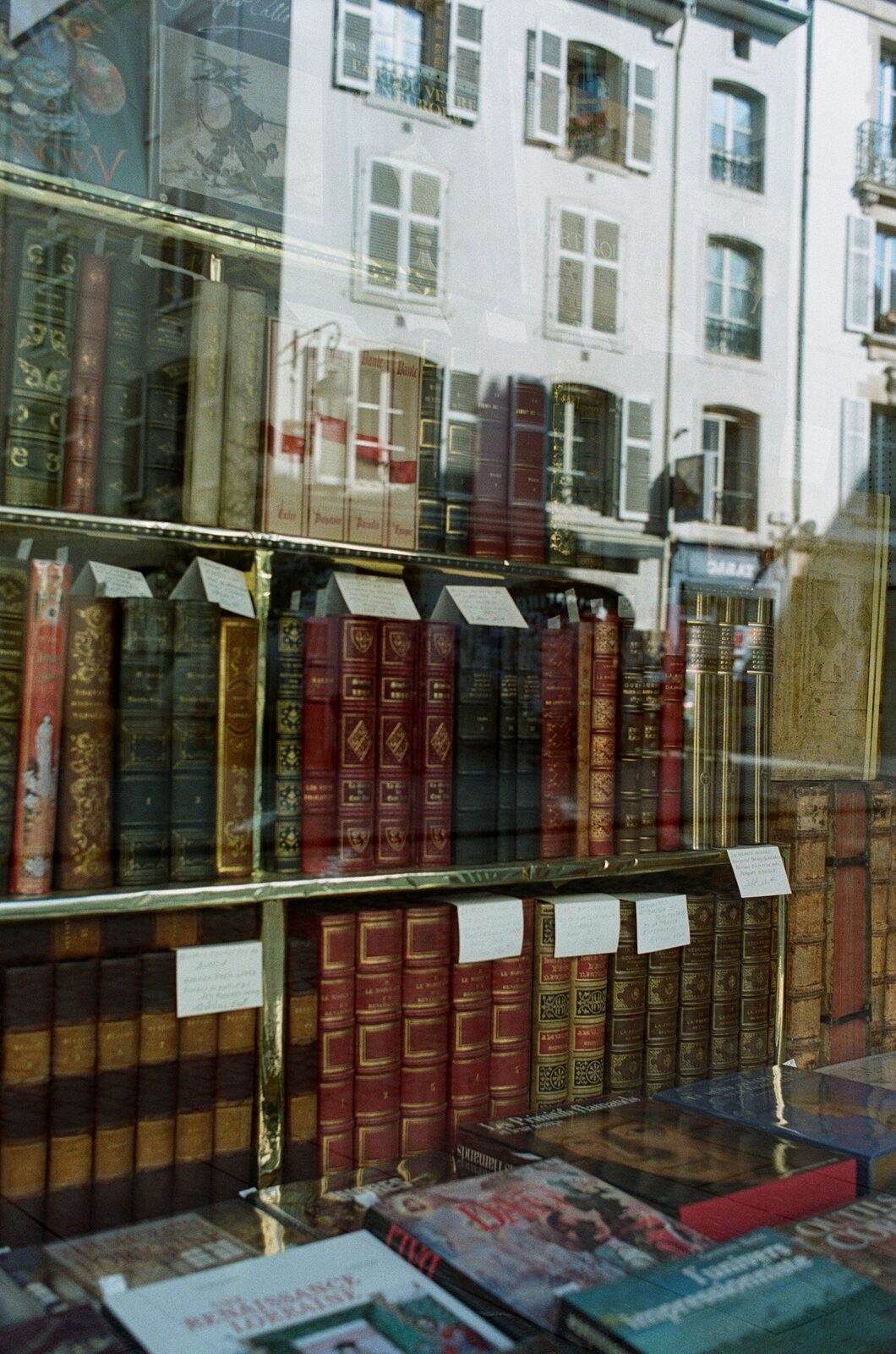 Les reliures anciennes alignées dans la vitrine de la librairie, au soir