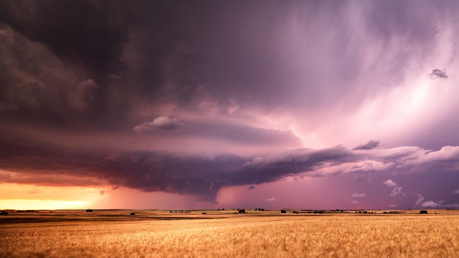 Un orage violet avance sur les blés mûrs de la plaine