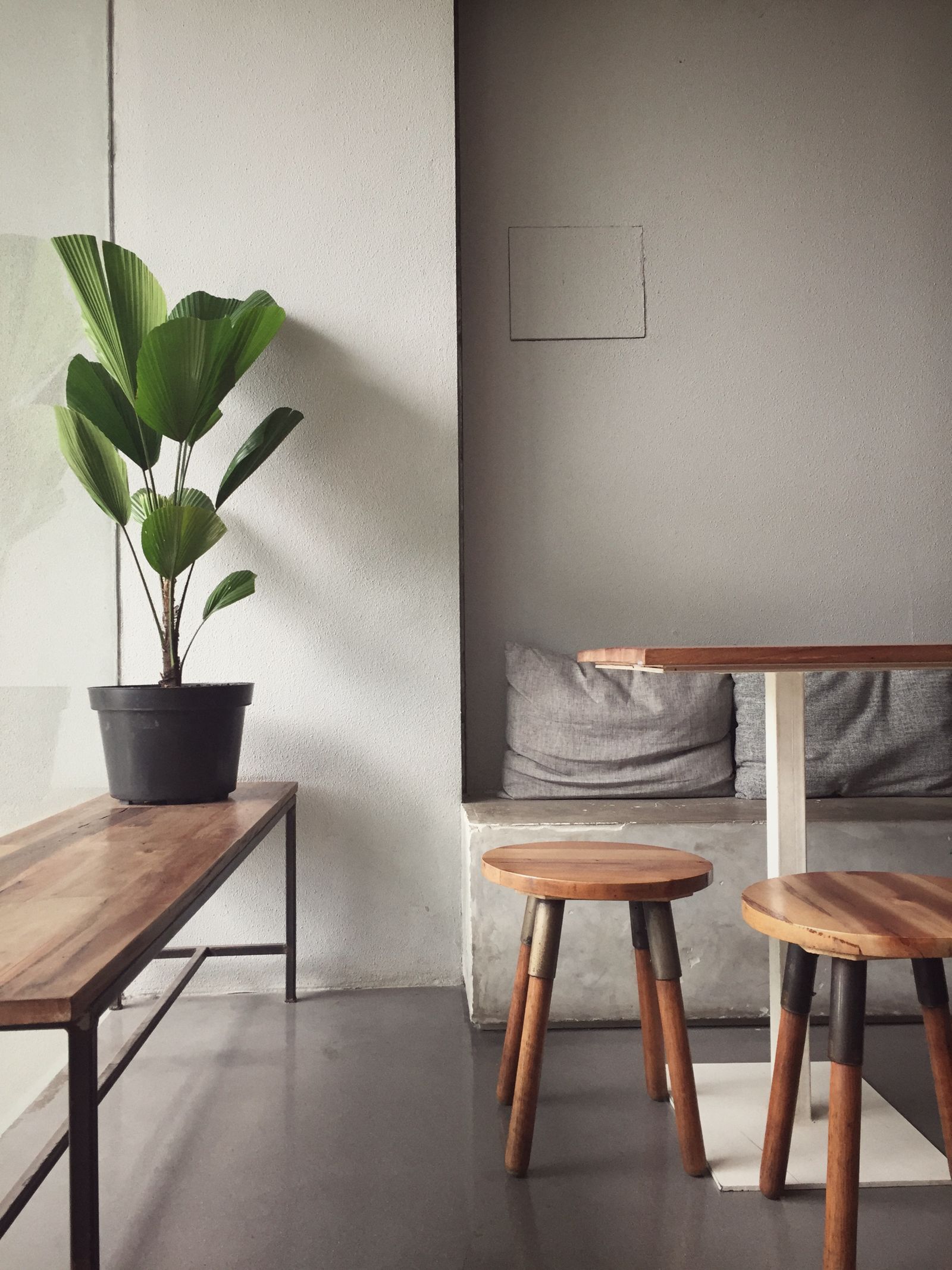 Banc en bois clair, tabourets et plante sur fond gris doux