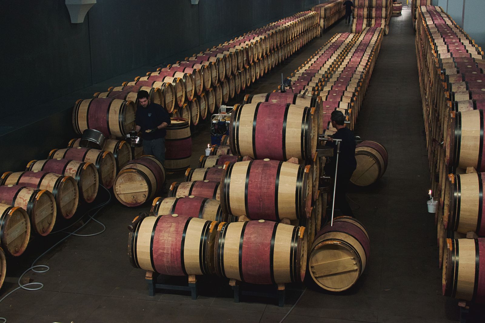Les barriques alignées dans le chai d'armagnac